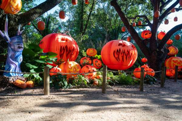 The Houston Zoo will host their annual Zoo Boo event.